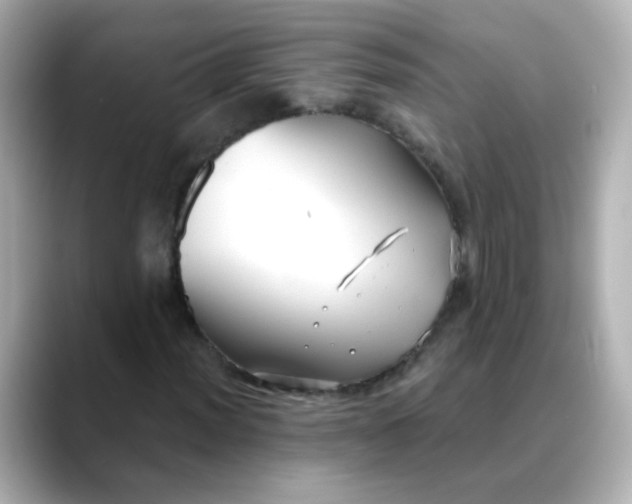 X0000088391012200706051113