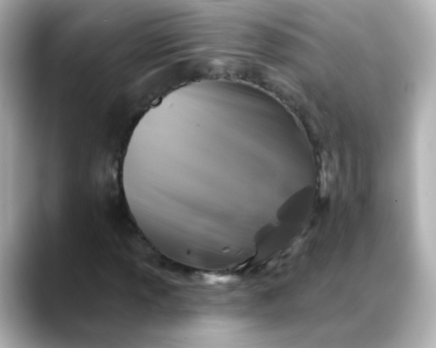 X0000088391013200706051113