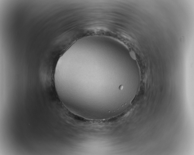 X0000088391014200706051113