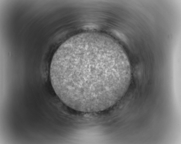 X0000088391015200706051113