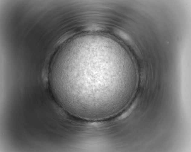 X0000088391017200706051113