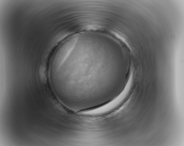 X0000088391018200706051113