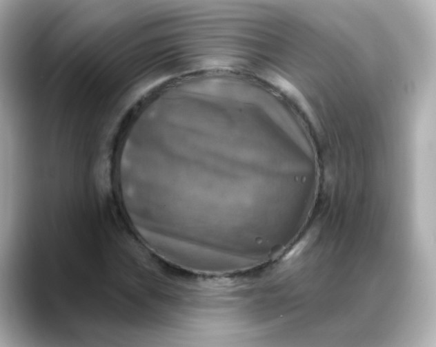 X0000088391019200706051114