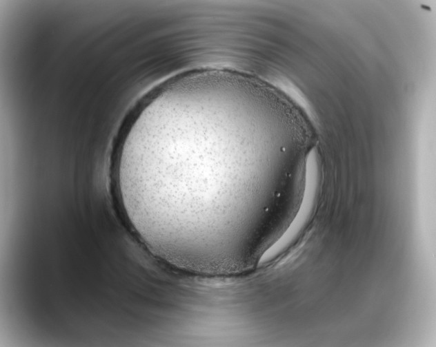 X0000088391020200706051114