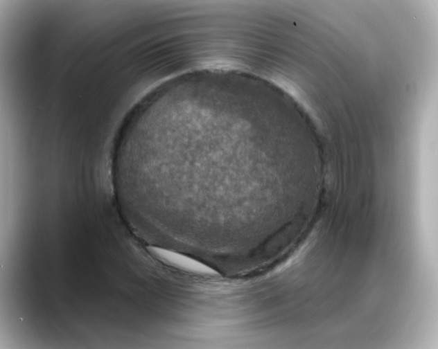 X0000088391022200706051114