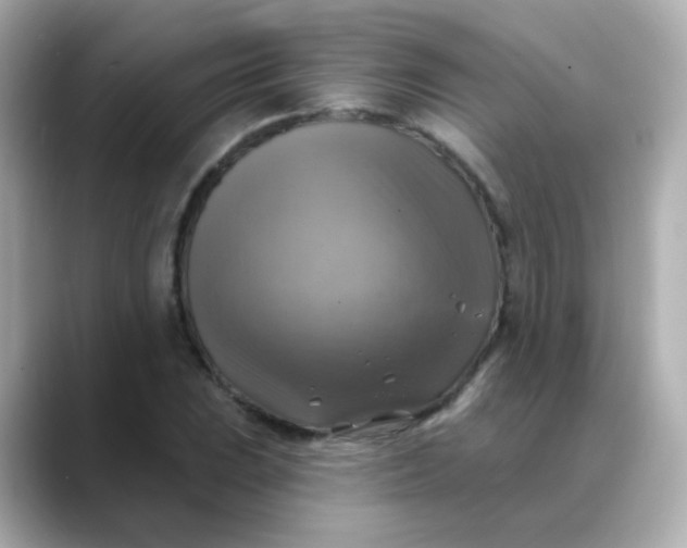 X0000088391023200706051114