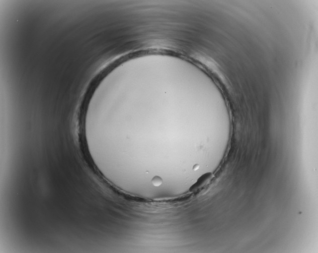 X0000088391024200706051114