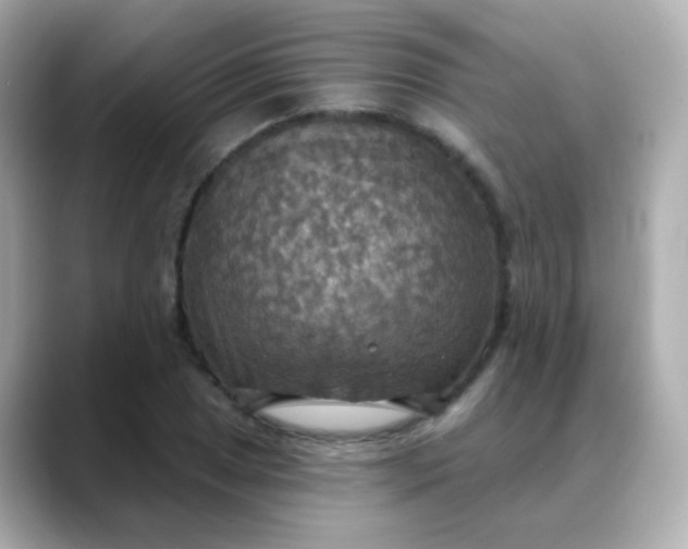 X0000088391025200706051114