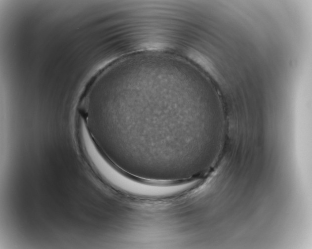 X0000088391026200706051114