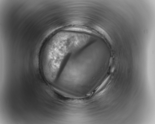 X0000088391027200706051114