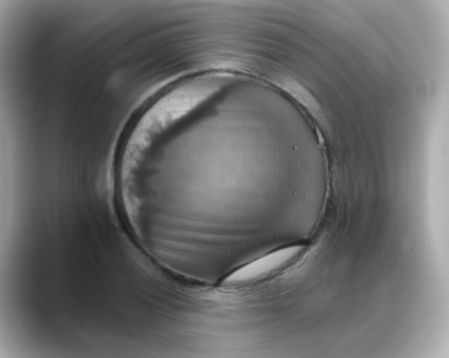 X0000088391028200706051114