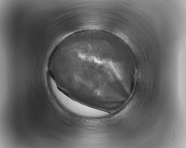 X0000088391030200706051114