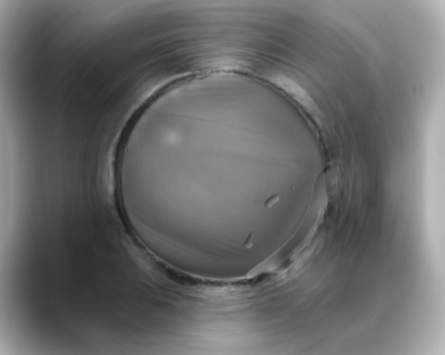 X0000088391031200706051114