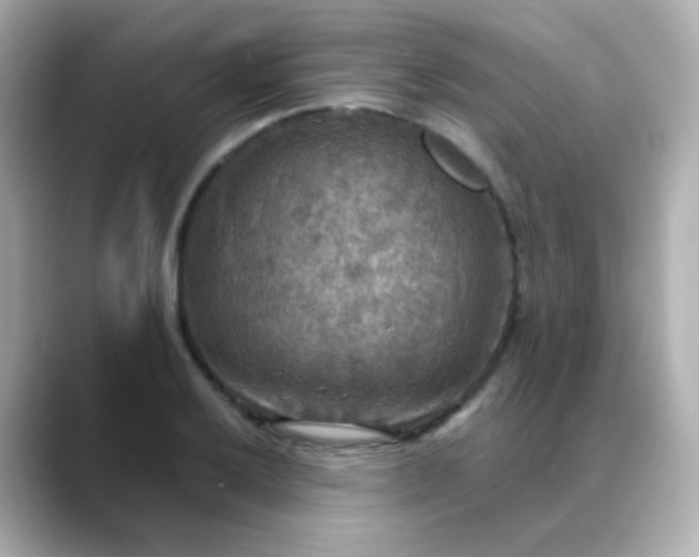 X0000088391032200706051114