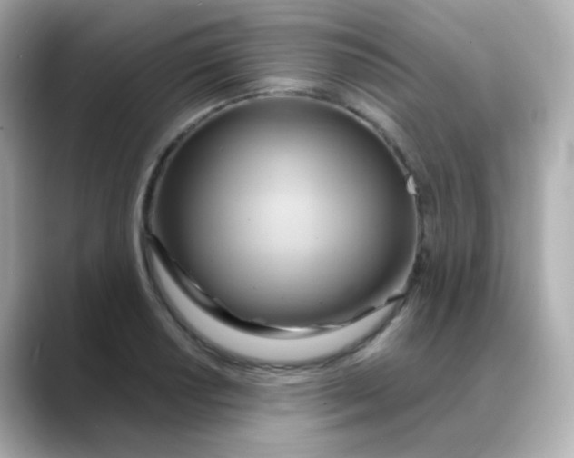 X0000088391034200706051114