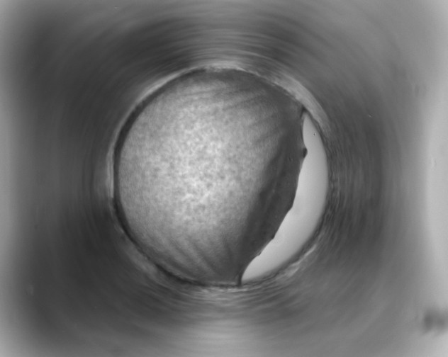 X0000088391036200706051114