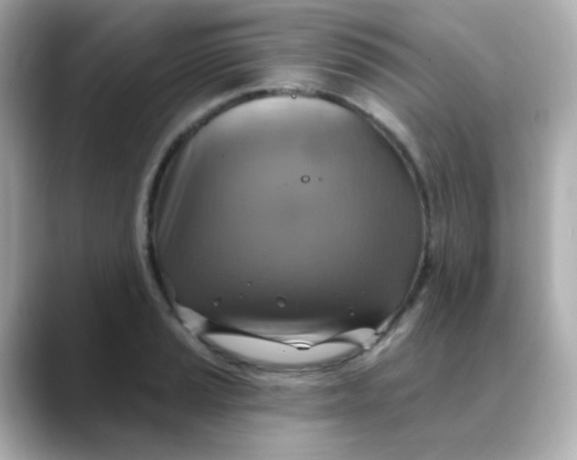 X0000088391037200706051114