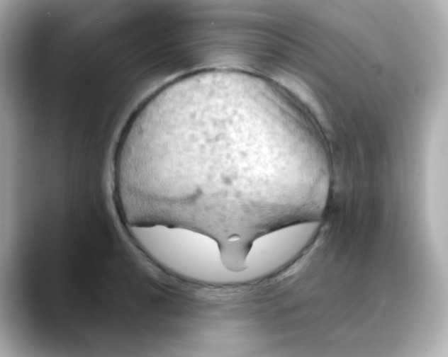 X0000088391040200706051114