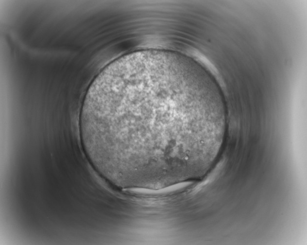 X0000088391041200706051114