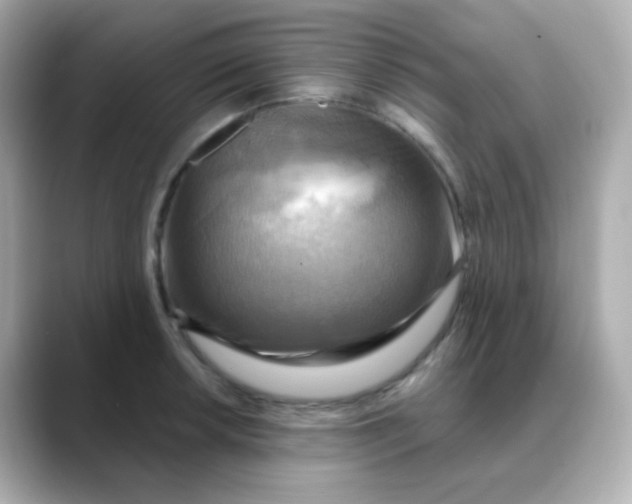 X0000088391042200706051114