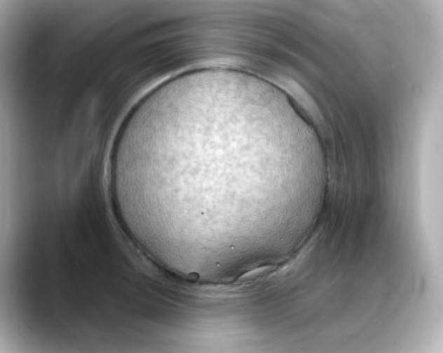 X0000088391044200706051114