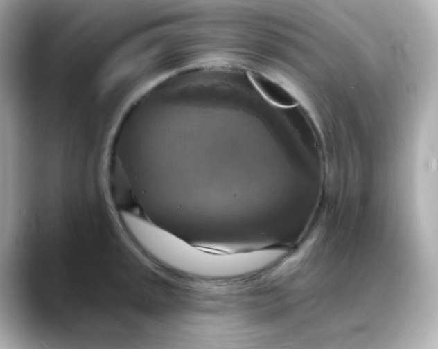 X0000088391045200706051114