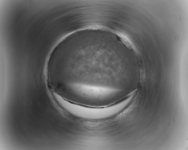 X0000088391046200706051114