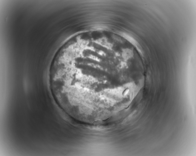 X0000088391047200706051114