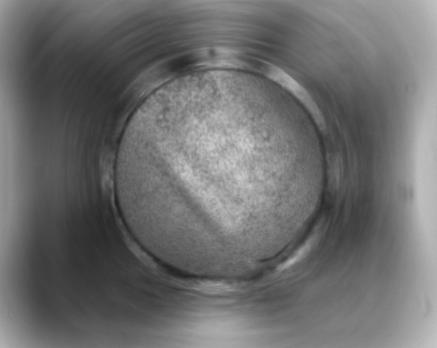 X0000088391049200706051114