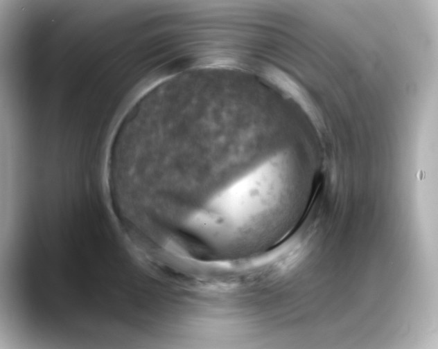 X0000088391050200706051114