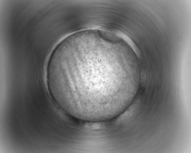 X0000088391051200706051114