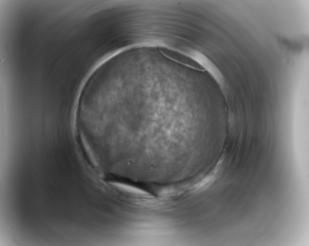 X0000088391052200706051114