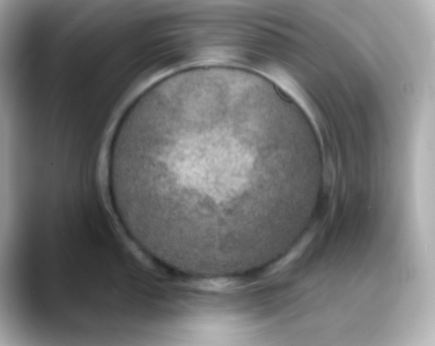 X0000088391053200706051114