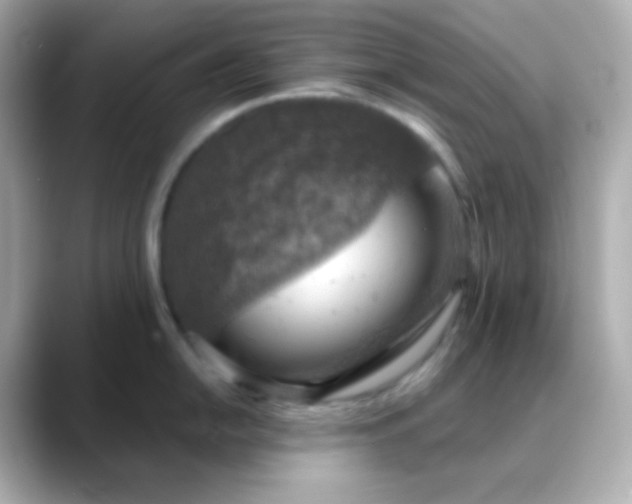 X0000088391054200706051114