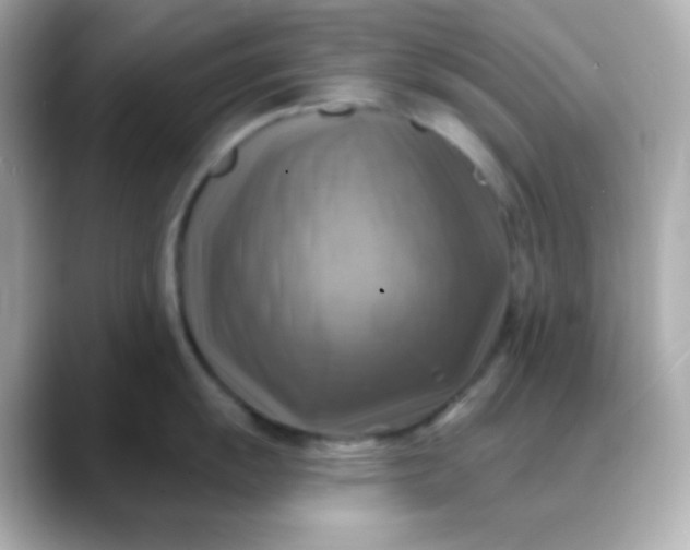 X0000088391055200706051114