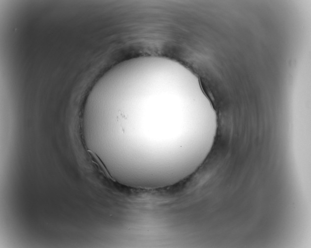 X0000088391057200706051113