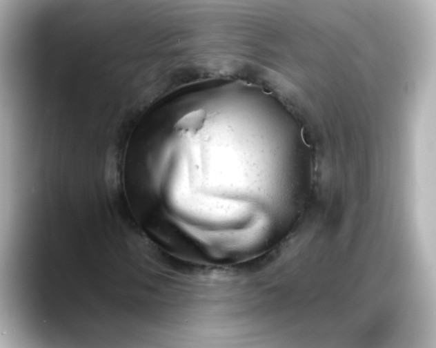 X0000088391058200706051113