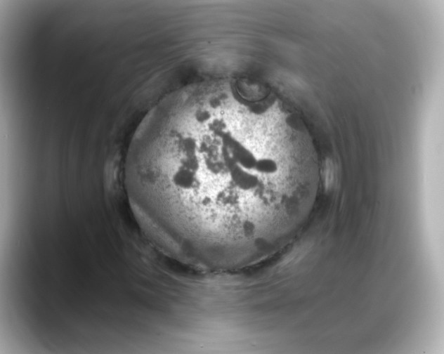 X0000088391059200706051113