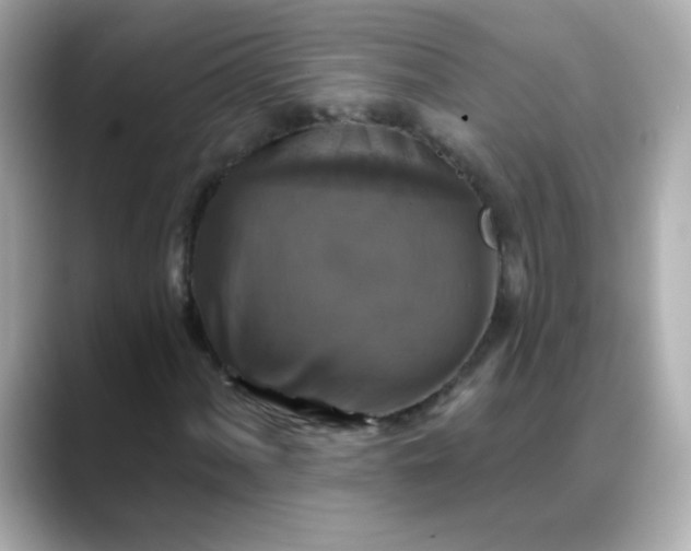 X0000088391060200706051113