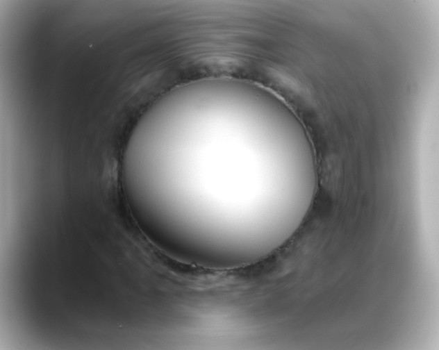 X0000088391061200706051113