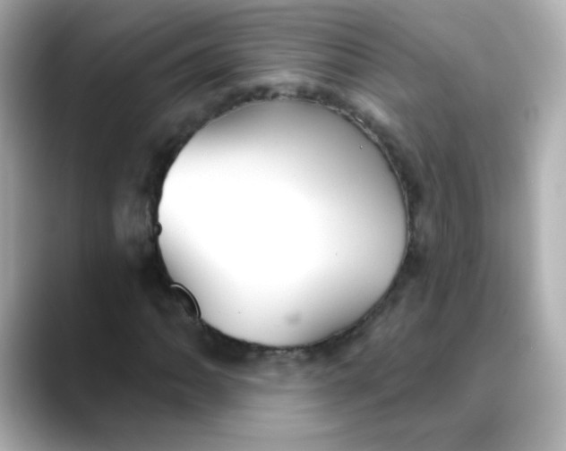 X0000088391062200706051113