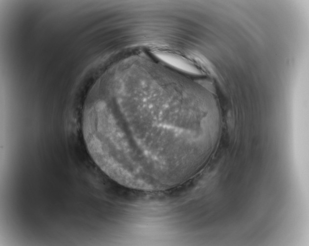 X0000088391064200706051113