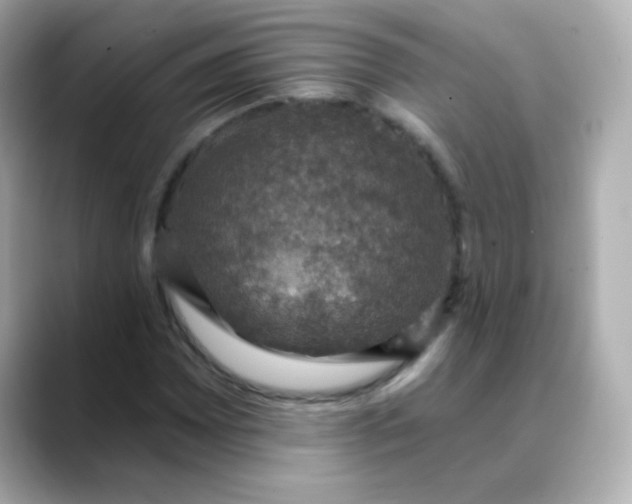 X0000088391065200706051113