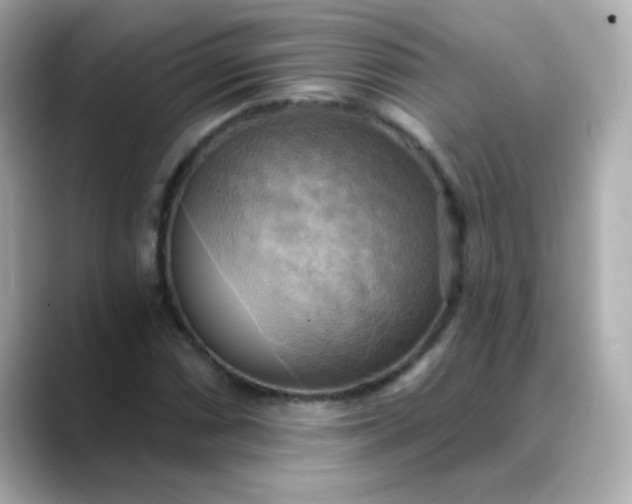 X0000088391066200706051113