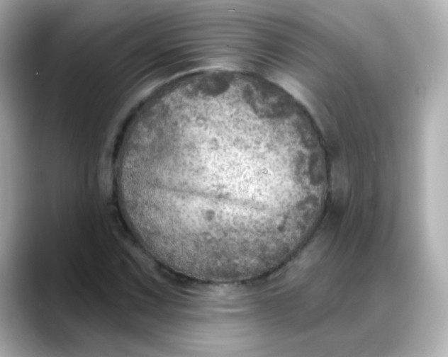 X0000088391067200706051113