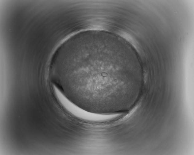 X0000088391069200706051113