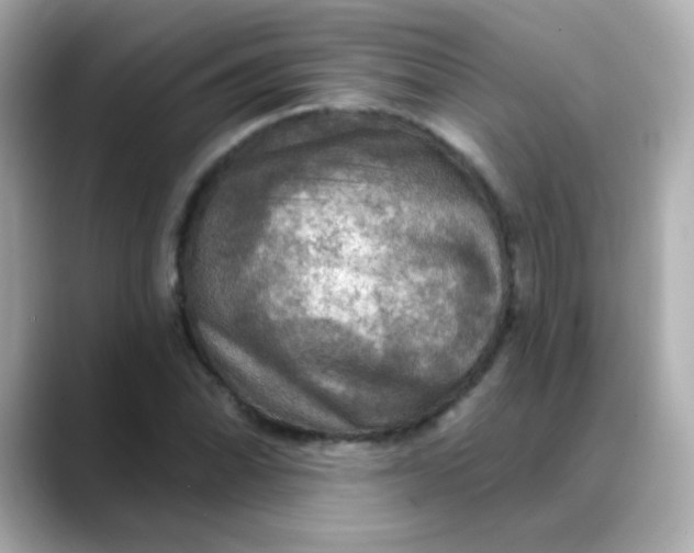 X0000088391070200706051113