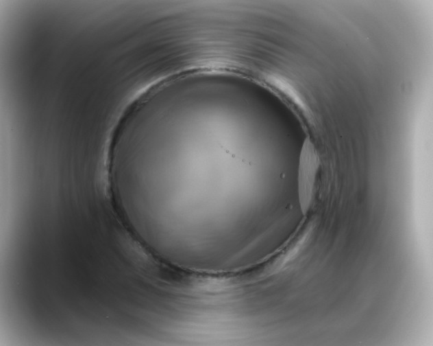 X0000088391071200706051113