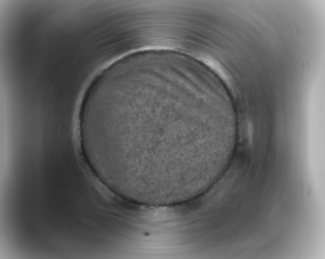 X0000088391072200706051113