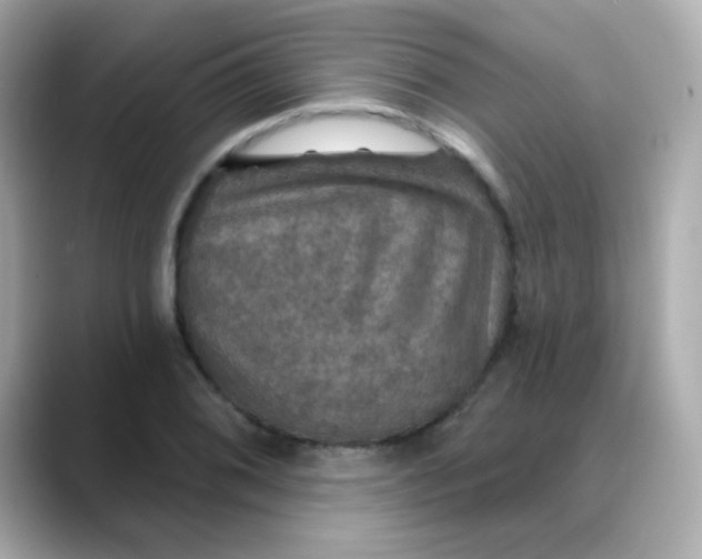 X0000088391076200706051113